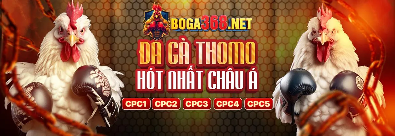 Đá gà trực tuyến kịch tính trên xin888 app