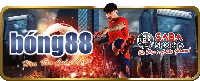Các loại khuyến mãi đa dạng tại xin888 app